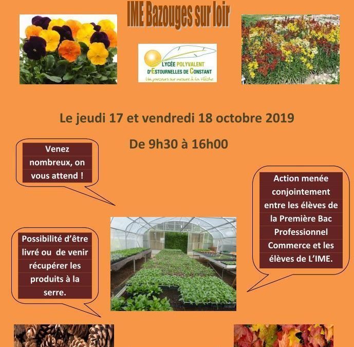 Vente d’automne – serres de l’IME