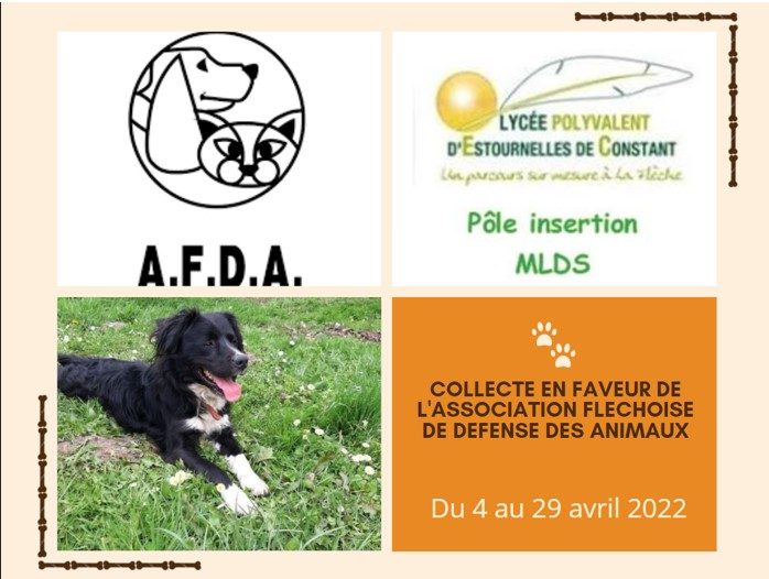 Collecte du 4 au 29 avril 2022